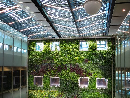 Vertical Vegetable Growing: Innovative Approaches For Urban Gardens
