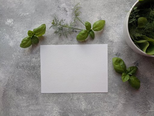 The Comprehensive Guide to Pruning Basil for Optimal Growth and Flavor